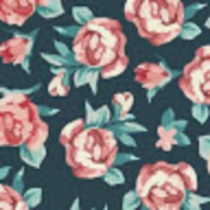 Meet your Posher, Daniella